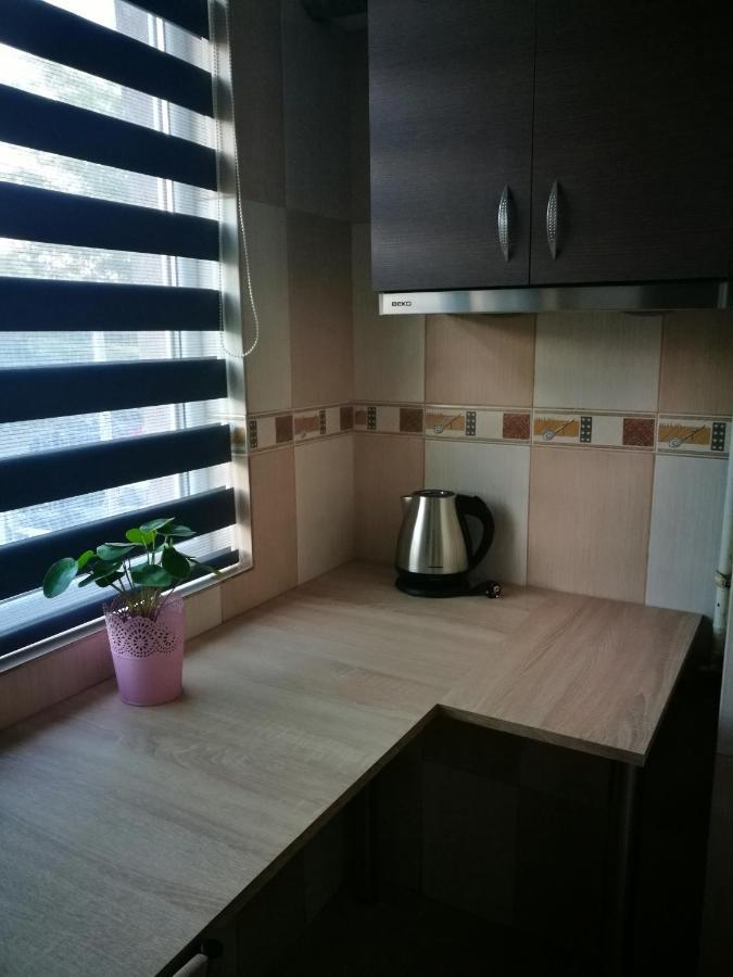 Iasi Jacuzzi Apartment H المظهر الخارجي الصورة